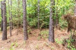 property photo for Whiskey Ridge Tract 27, 6.54 acres for sale in Henderson County, Tennessee