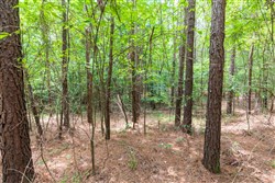 property photo for Whiskey Ridge Tract 27, 6.54 acres for sale in Henderson County, Tennessee