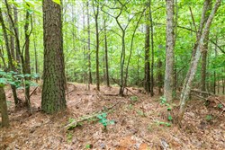 property photo for Whiskey Ridge Tract 27, 6.54 acres for sale in Henderson County, Tennessee