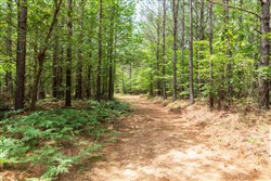 property photo for Whiskey Ridge Tract 27, 6.54 acres for sale in Henderson County, Tennessee
