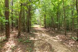 Whiskey Ridge Tract 28