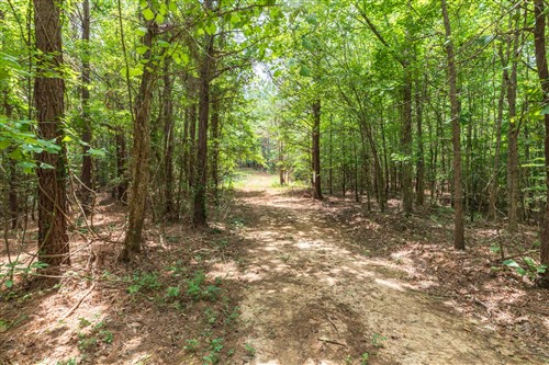 Whiskey Ridge Tract 28