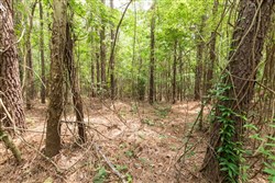 Whiskey Ridge Tract 28