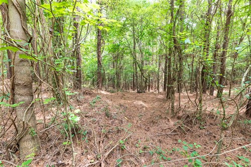 Whiskey Ridge Tract 28