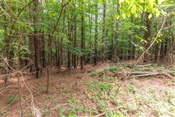 Whiskey Ridge Tract 28