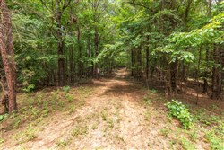 Whiskey Ridge Tract 28