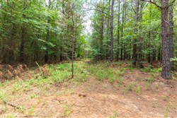 Whiskey Ridge Tract 28