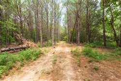 Whiskey Ridge Tract 29