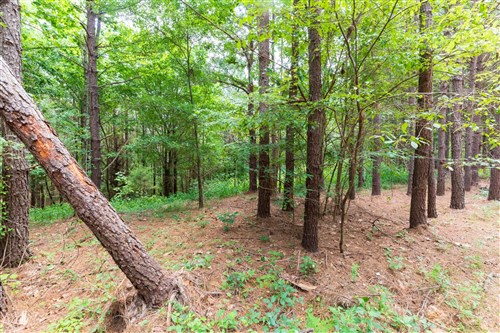 Whiskey Ridge Tract 29