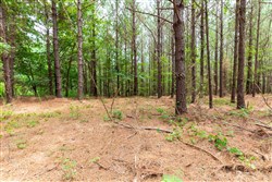 Whiskey Ridge Tract 29