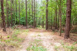 Whiskey Ridge Tract 29