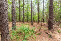 Whiskey Ridge Tract 29