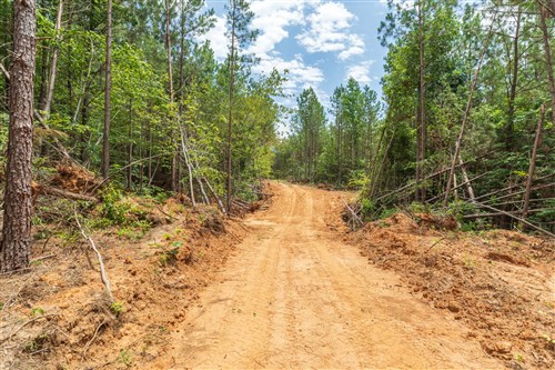 Whiskey Ridge Tract 3