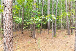 Whiskey Ridge Tract 3