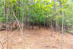 Whiskey Ridge Tract 3