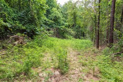 property photo for Whiskey Ridge Tract 30, 8.49 acres for sale in Henderson County, Tennessee