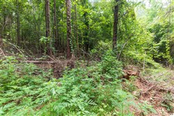 property photo for Whiskey Ridge Tract 30, 8.49 acres for sale in Henderson County, Tennessee