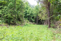 property photo for Whiskey Ridge Tract 30, 8.49 acres for sale in Henderson County, Tennessee