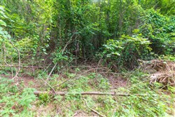 property photo for Whiskey Ridge Tract 30, 8.49 acres for sale in Henderson County, Tennessee