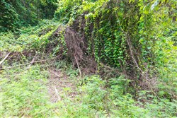 property photo for Whiskey Ridge Tract 30, 8.49 acres for sale in Henderson County, Tennessee