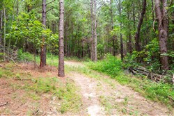 property photo for Whiskey Ridge Tract 31, 9.42 acres for sale in Henderson County, Tennessee