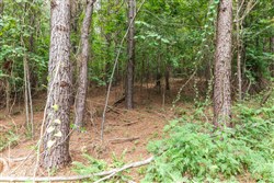 property photo for Whiskey Ridge Tract 31, 9.42 acres for sale in Henderson County, Tennessee