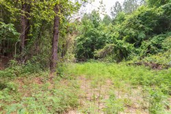 property photo for Whiskey Ridge Tract 31, 9.42 acres for sale in Henderson County, Tennessee