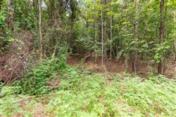 property photo for Whiskey Ridge Tract 31, 9.42 acres for sale in Henderson County, Tennessee
