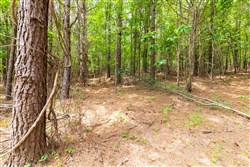 property photo for Whiskey Ridge Tract 31, 9.42 acres for sale in Henderson County, Tennessee