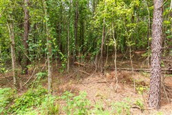 property photo for Whiskey Ridge Tract 31, 9.42 acres for sale in Henderson County, Tennessee