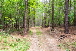 property photo for Whiskey Ridge Tract 32, 19.71 acres for sale in Henderson County, Tennessee