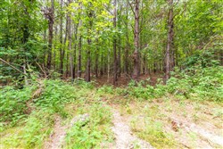 property photo for Whiskey Ridge Tract 32, 19.71 acres for sale in Henderson County, Tennessee
