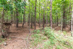 property photo for Whiskey Ridge Tract 32, 19.71 acres for sale in Henderson County, Tennessee
