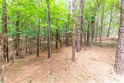 property photo for Whiskey Ridge Tract 32, 19.71 acres for sale in Henderson County, Tennessee