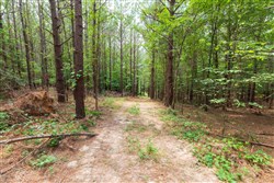 property photo for Whiskey Ridge Tract 32, 19.71 acres for sale in Henderson County, Tennessee