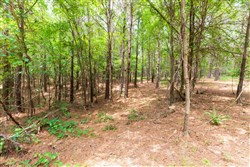 property photo for Whiskey Ridge Tract 32, 19.71 acres for sale in Henderson County, Tennessee