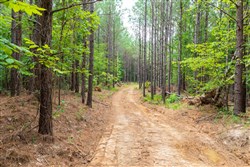 property photo for Whiskey Ridge Tract 33, 11.77 acres for sale in Henderson County, Tennessee