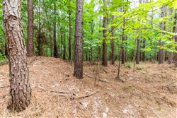 property photo for Whiskey Ridge Tract 33, 11.77 acres for sale in Henderson County, Tennessee