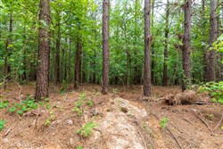 property photo for Whiskey Ridge Tract 33, 11.77 acres for sale in Henderson County, Tennessee