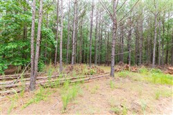 property photo for Whiskey Ridge Tract 33, 11.77 acres for sale in Henderson County, Tennessee
