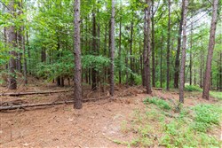 property photo for Whiskey Ridge Tract 33, 11.77 acres for sale in Henderson County, Tennessee