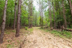 Whiskey Ridge Tract 34