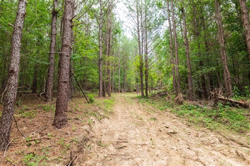 Whiskey Ridge Tract 34