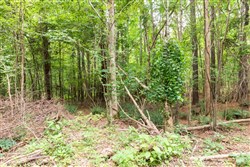 Whiskey Ridge Tract 34