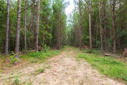 Whiskey Ridge Tract 34