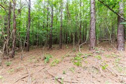 Whiskey Ridge Tract 34