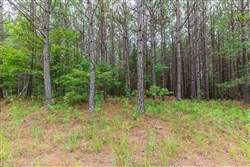 property photo for Whiskey Ridge Tract 35, 5.31 acres for sale in Henderson County, Tennessee