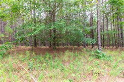property photo for Whiskey Ridge Tract 35, 5.31 acres for sale in Henderson County, Tennessee