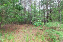 property photo for Whiskey Ridge Tract 35, 5.31 acres for sale in Henderson County, Tennessee