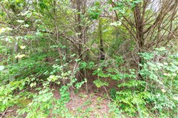property photo for Whiskey Ridge Tract 36, 5.49 acres for sale in Henderson County, Tennessee